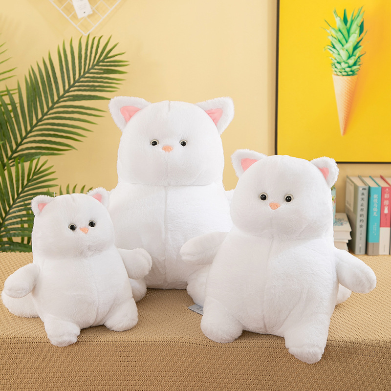 https://fulmo-img-server.com/nyankomo/8eb65abb-0386-41fa-9c37-670a2f5bd886.jpg