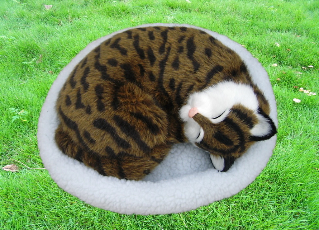 猫ぬいぐるみ まるくなって眠る子猫のぬいぐるみ丸型座布団付き