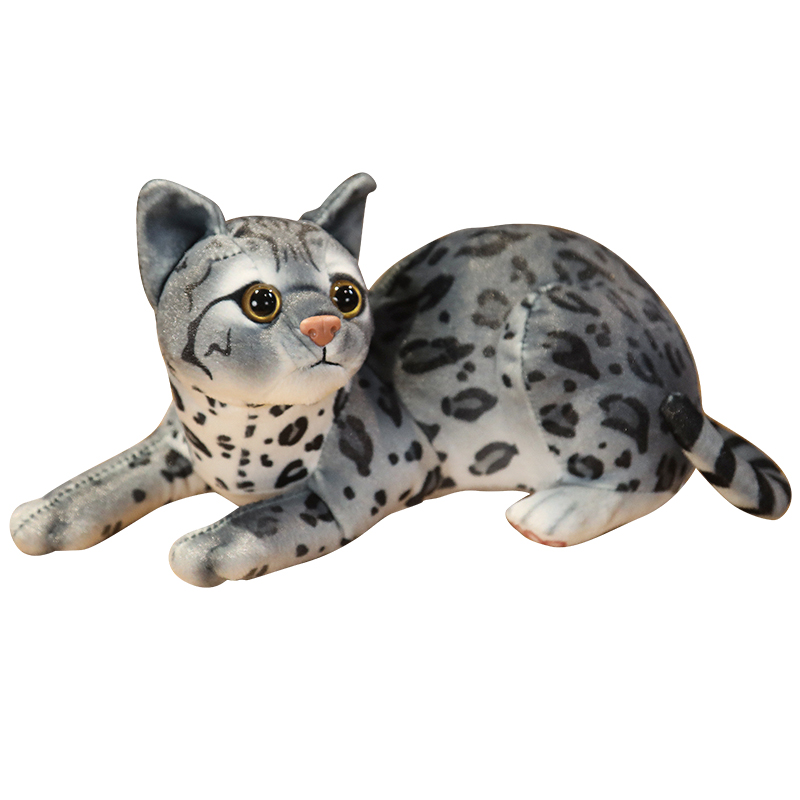 https://fulmo-img-server.com/nyankomo/8f99a285-97f9-4924-9ac8-673a4c89f8a9.jpg