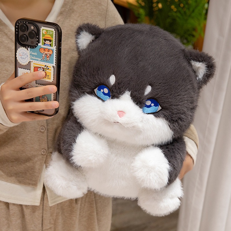 https://fulmo-img-server.com/nyankomo/99973f3c-7131-4559-a73d-7e49349ba216.jpg