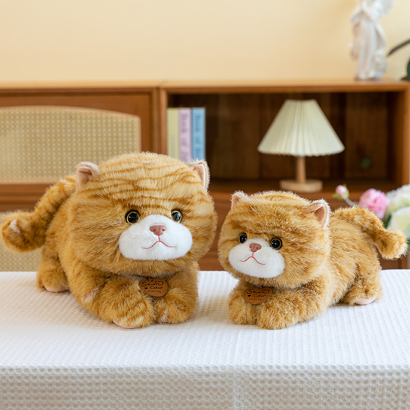 https://fulmo-img-server.com/nyankomo/9a2bd647-2f6d-4deb-a5b2-588d6e535022.jpg