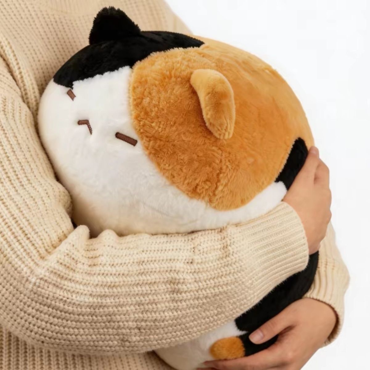https://fulmo-img-server.com/nyankomo/9cbd16dc-5125-4f3e-8e56-8d377911a520.jpg