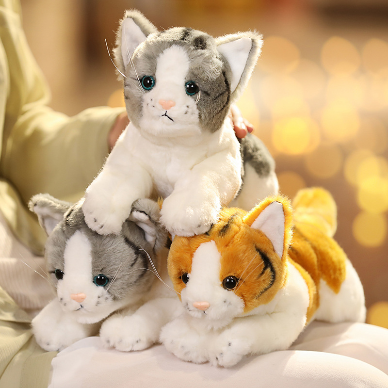 https://fulmo-img-server.com/nyankomo/9fd2d3a2-79c5-4388-b6c7-48a9647e415c.jpg