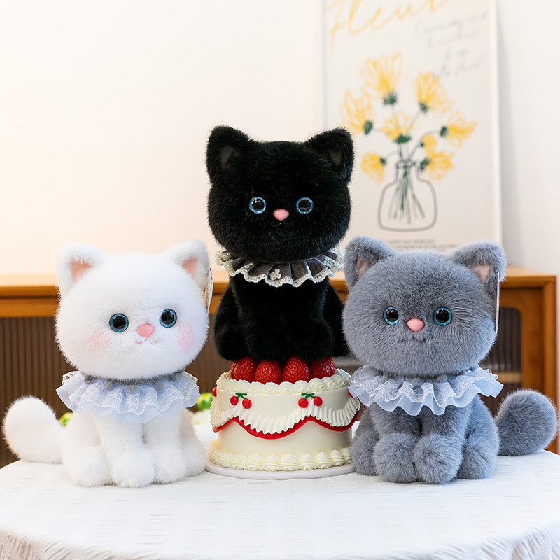 https://fulmo-img-server.com/nyankomo/a0bcc079-9214-4672-a528-ee836021750d.jpg