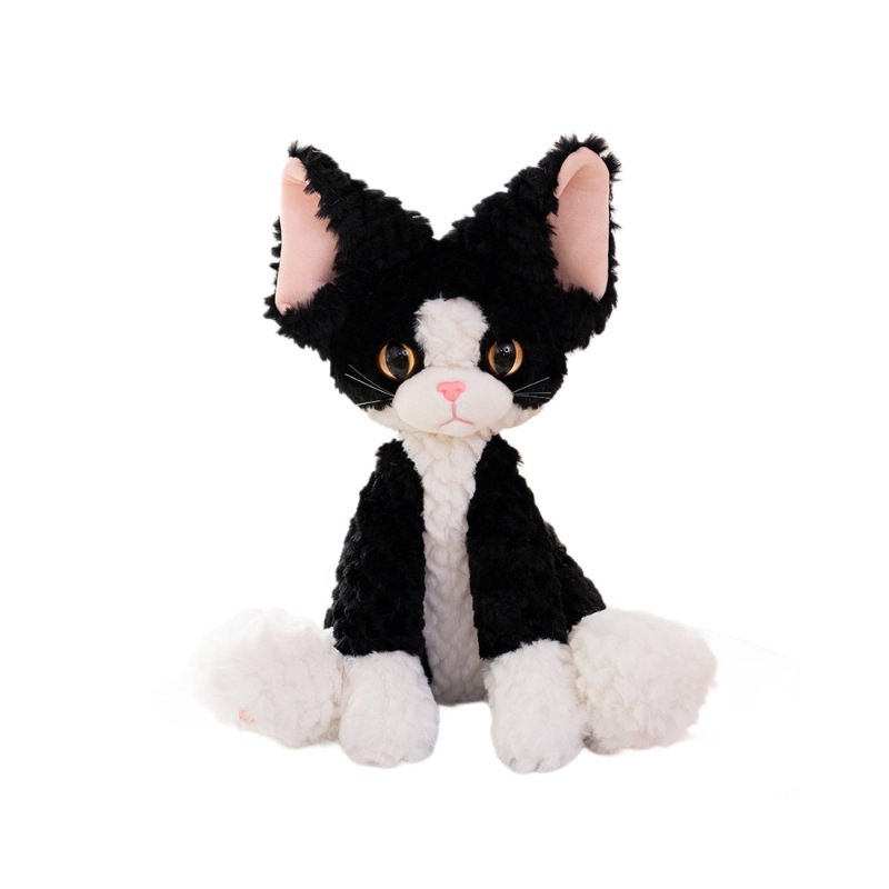 https://fulmo-img-server.com/nyankomo/a378ab77-31a5-4c6b-b2fa-4f5641740d44.jpg