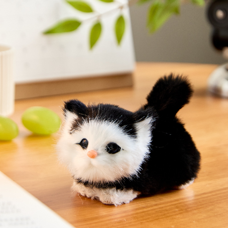 https://fulmo-img-server.com/nyankomo/a3d32505-d92a-4715-874a-f282a1993b21.jpg