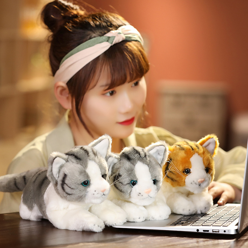 https://fulmo-img-server.com/nyankomo/a4262ac5-36dc-499c-8ad2-cd1ee3a7a8f0.jpg