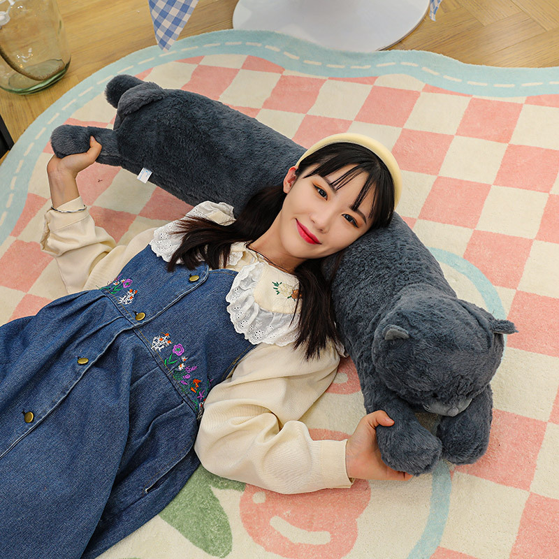 https://fulmo-img-server.com/nyankomo/a53db65b-df67-4b8f-a2a4-bf1858889616.jpg