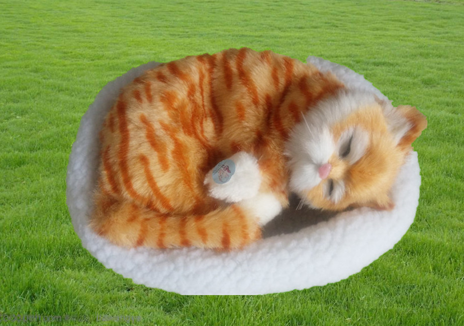 トラ茶猫ぬいぐるみ 眠る子猫のふわふわ丸型座布団付き猫ぬいぐるみ