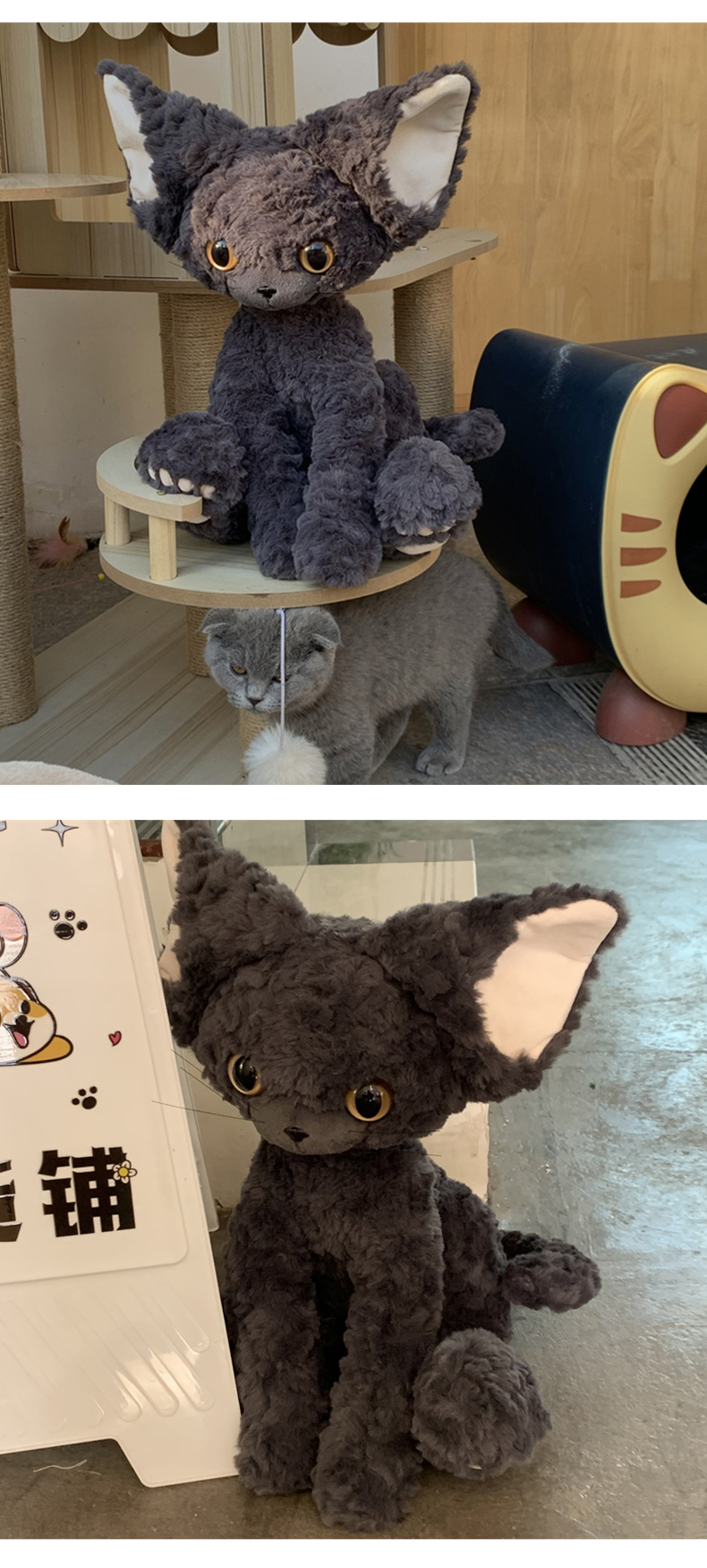 猫ぬいぐるみ もふもふ夢見る子猫のぬいぐるみ