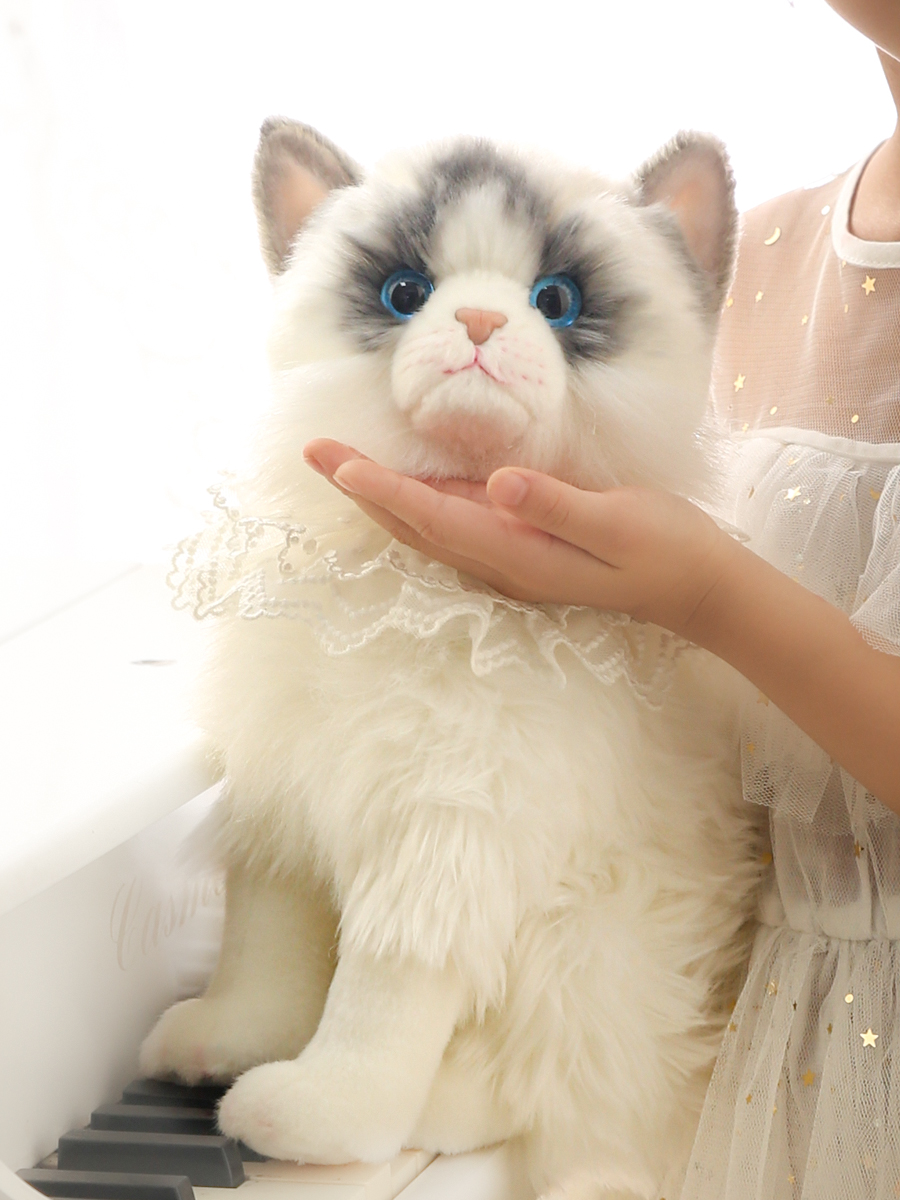https://fulmo-img-server.com/nyankomo/b2ace54d-16d0-4094-842a-14e466ea5413.jpg