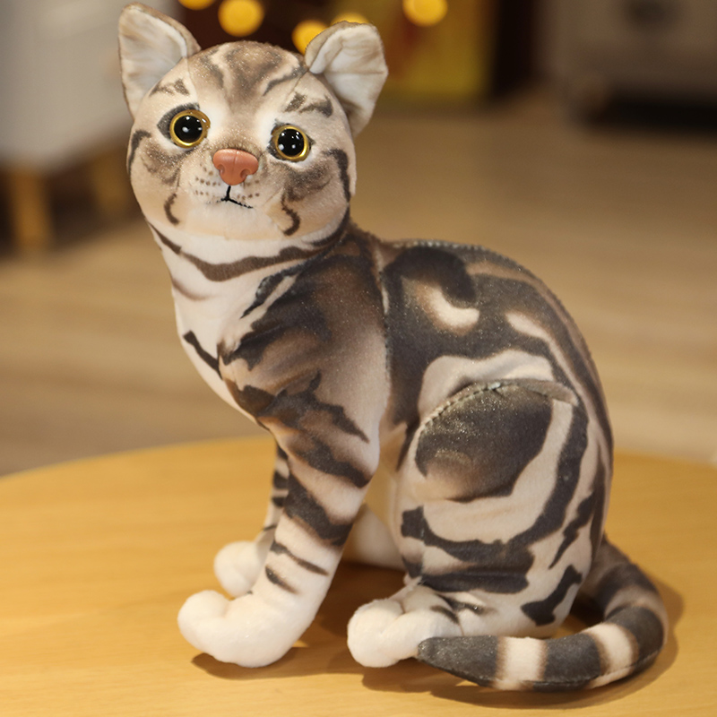 https://fulmo-img-server.com/nyankomo/b368afe1-53ce-41d3-b691-bd0e518f0e12.jpg