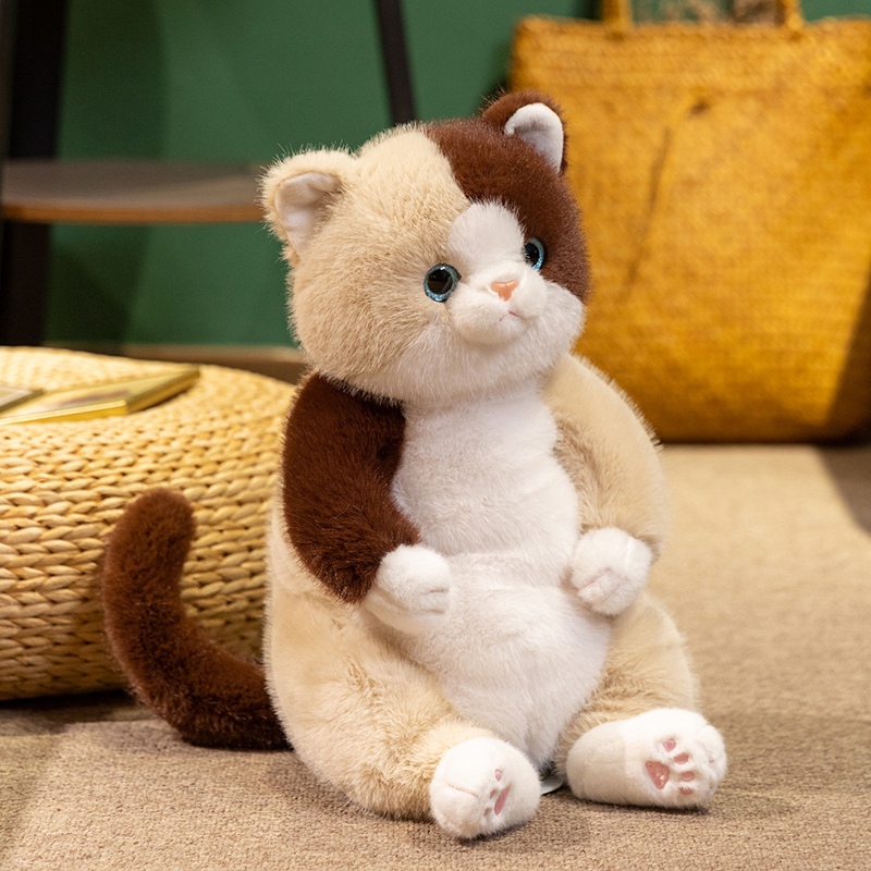 猫ぬいぐるみ もちもち抱きぬいぐるみ まんまる子猫