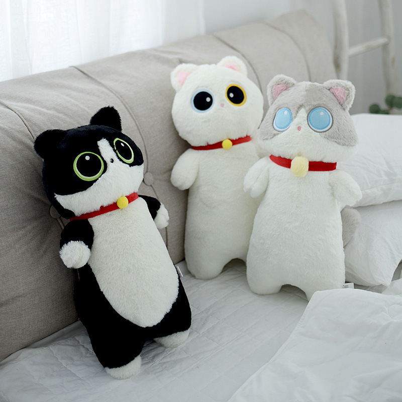 https://fulmo-img-server.com/nyankomo/b75534d4-7bae-4c3b-b42a-a98e6a5d5fec.jpg