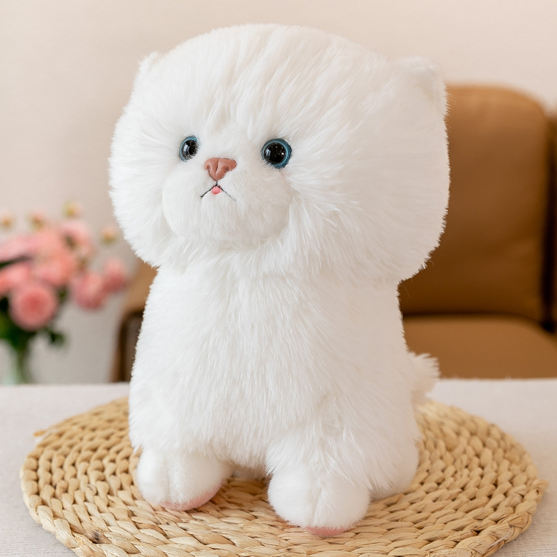 https://fulmo-img-server.com/nyankomo/b7aa5f5e-53bb-4ec2-905d-a35472892aaa.jpg