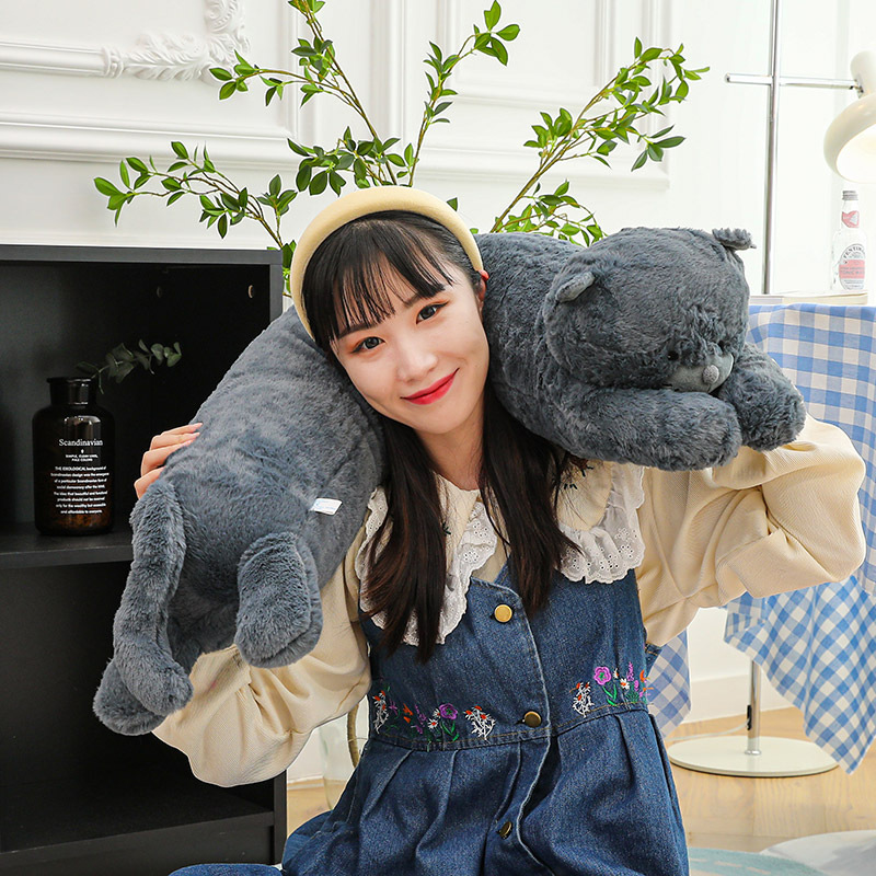 https://fulmo-img-server.com/nyankomo/be5d4356-65fa-45db-9c88-c9f1310f79ba.jpg