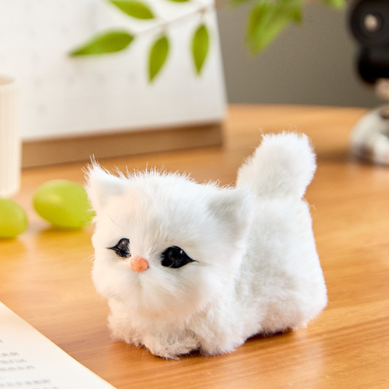 https://fulmo-img-server.com/nyankomo/bfc31b16-8b24-4259-b151-a3f1986955c7.jpg