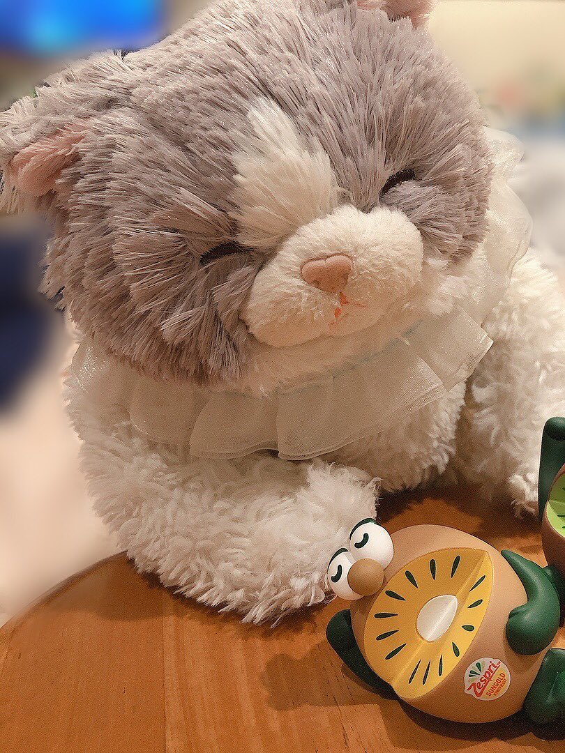 猫ぬいぐるみ グレー もふもふ夢ねこ ぬくぬく抱きまくら