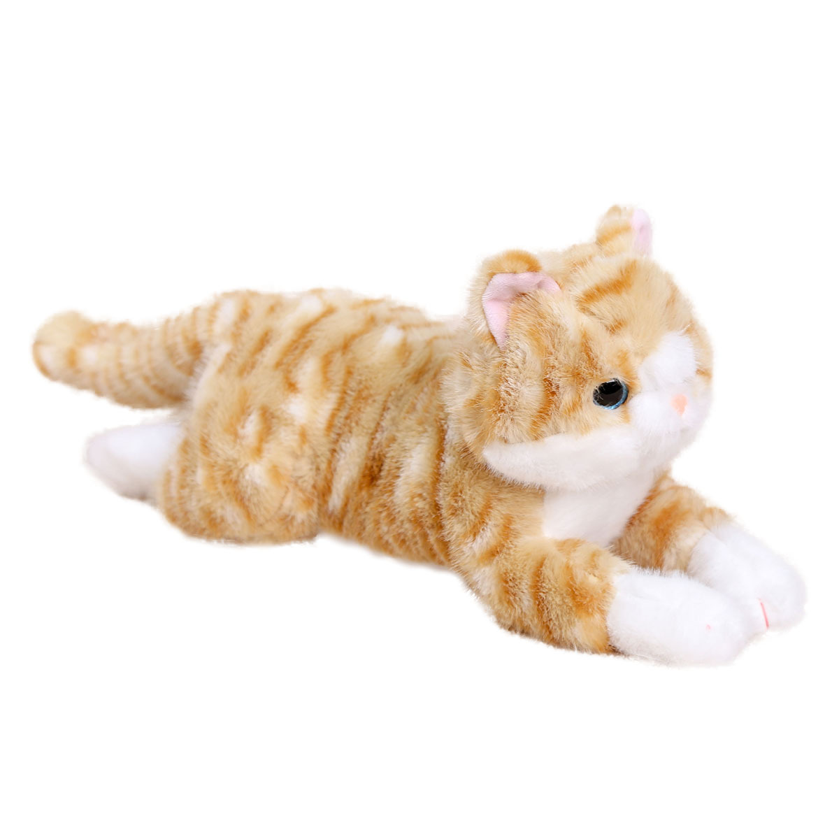 https://fulmo-img-server.com/nyankomo/c6ca50dc-d34b-49cb-8384-428d33d80d7e.jpg