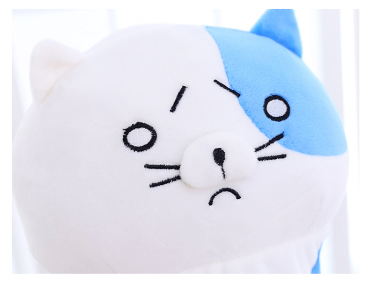 https://fulmo-img-server.com/nyankomo/c7186341-891a-4cca-892c-f12ae7ad07ac.jpg