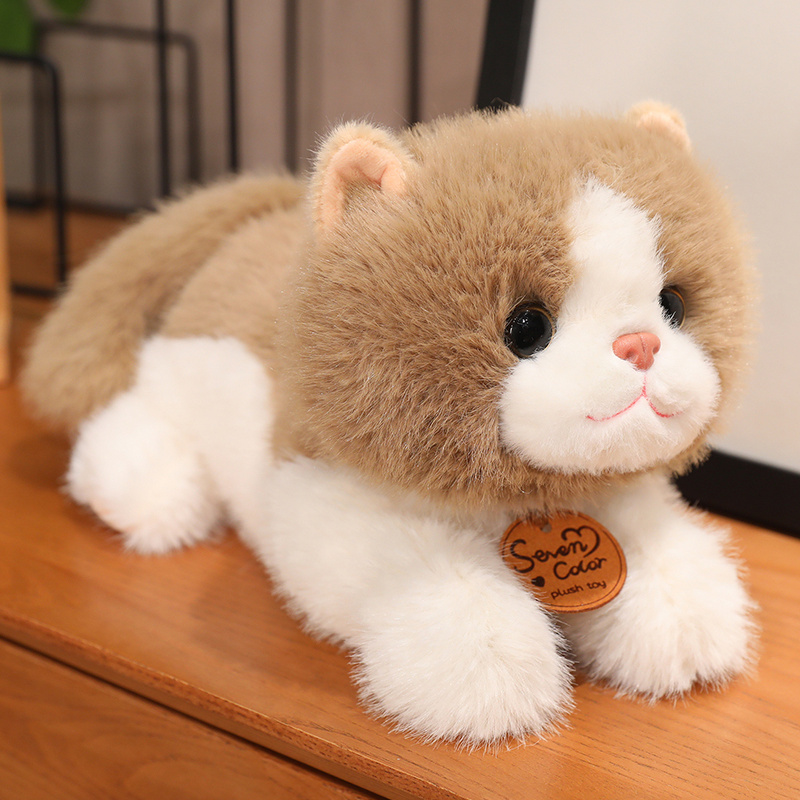 https://fulmo-img-server.com/nyankomo/c7971c7d-6ce6-4f4b-a235-a03983b8014c.jpg