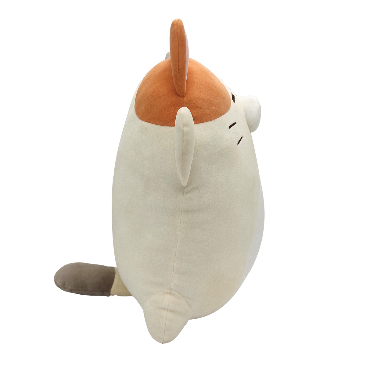 https://fulmo-img-server.com/nyankomo/cdd47e16-f79d-4a45-95f9-1b60458866c2.jpg
