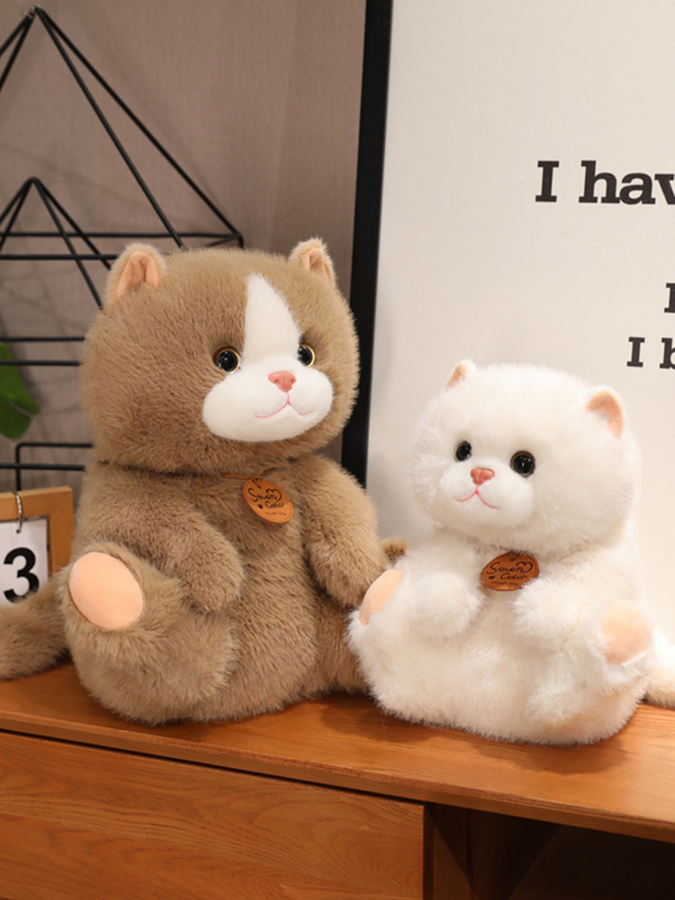 https://fulmo-img-server.com/nyankomo/ce1ba279-64fc-46c7-8994-9194219e49ce.jpg