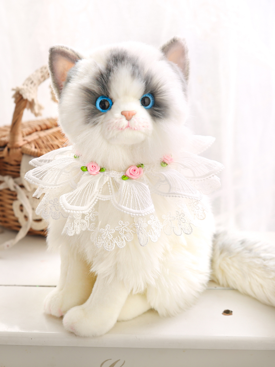 https://fulmo-img-server.com/nyankomo/d27accd2-251c-493b-9867-147bbf5cbe79.jpg