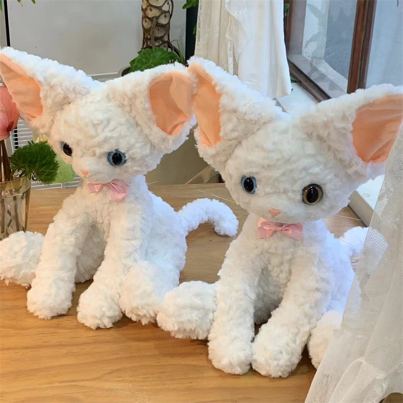 https://fulmo-img-server.com/nyankomo/d384d82e-6e23-4182-a39e-1b15398bfe60.jpg