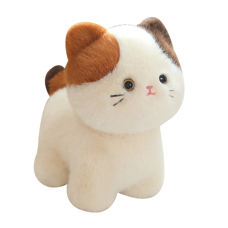 https://fulmo-img-server.com/nyankomo/d41fb577-6b2a-4286-a934-102e7f0f9b1d.jpg