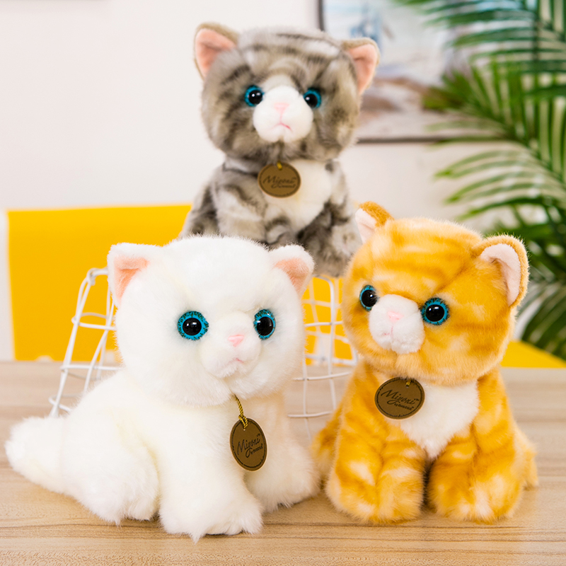 https://fulmo-img-server.com/nyankomo/d4de3087-212b-4bda-94cb-70f0cd264fb8.jpg