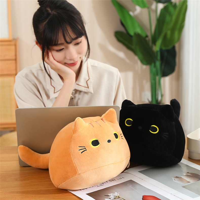 https://fulmo-img-server.com/nyankomo/d7c0bd6b-e370-4ae9-9e16-391f5a9acb43.jpg