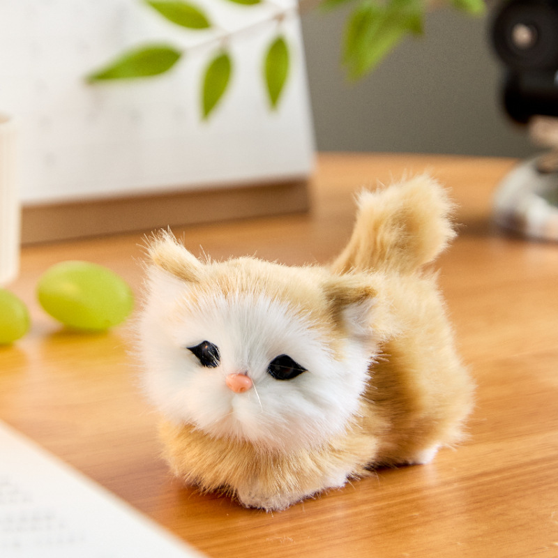 https://fulmo-img-server.com/nyankomo/d8e4b970-dd11-4d16-8e18-9f6bedcc1bdf.jpg