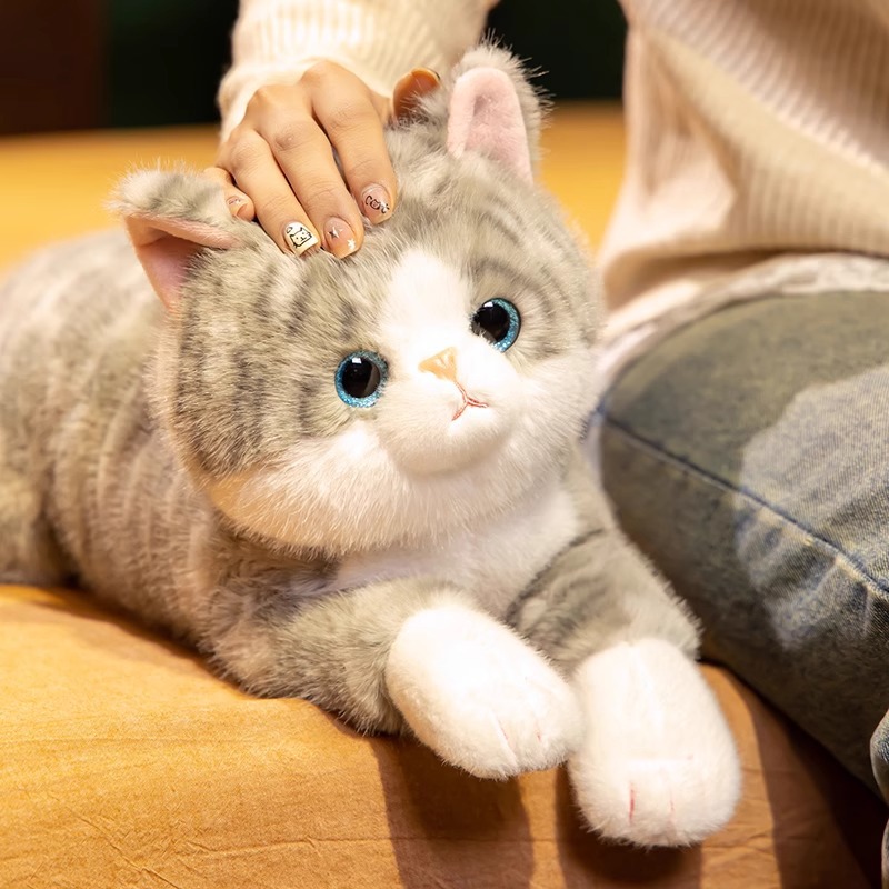 https://fulmo-img-server.com/nyankomo/da307443-98f6-46a6-81f5-1cf8a12c4940.jpg