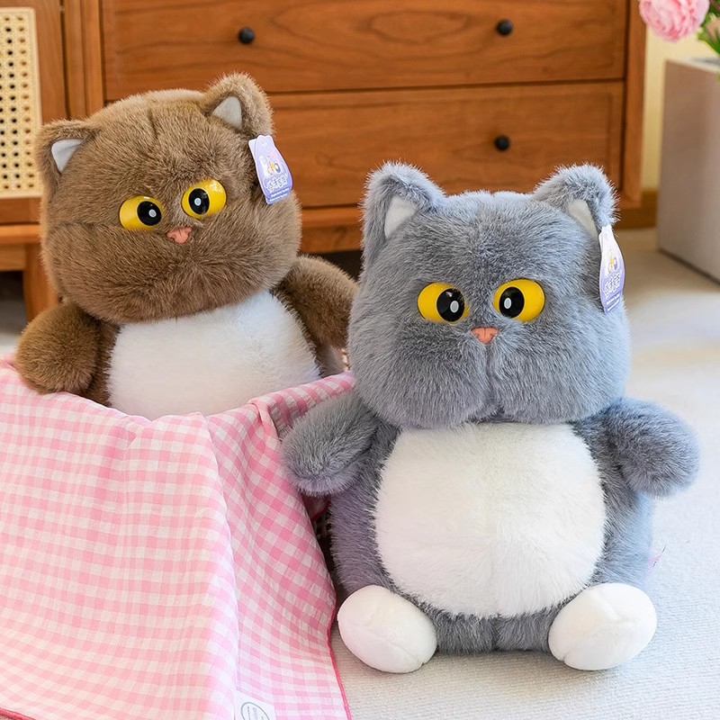 https://fulmo-img-server.com/nyankomo/da769fcb-bd07-4e12-a474-76333541dcce.jpg