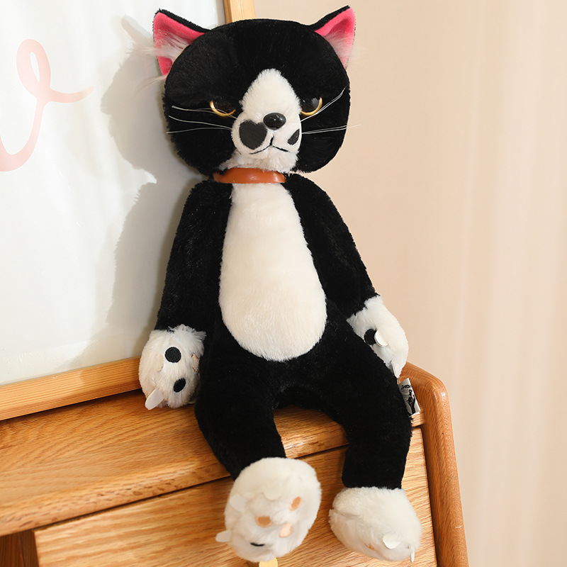 https://fulmo-img-server.com/nyankomo/dacb34be-d25a-4ee2-a0dc-8176f1e289ca.jpg