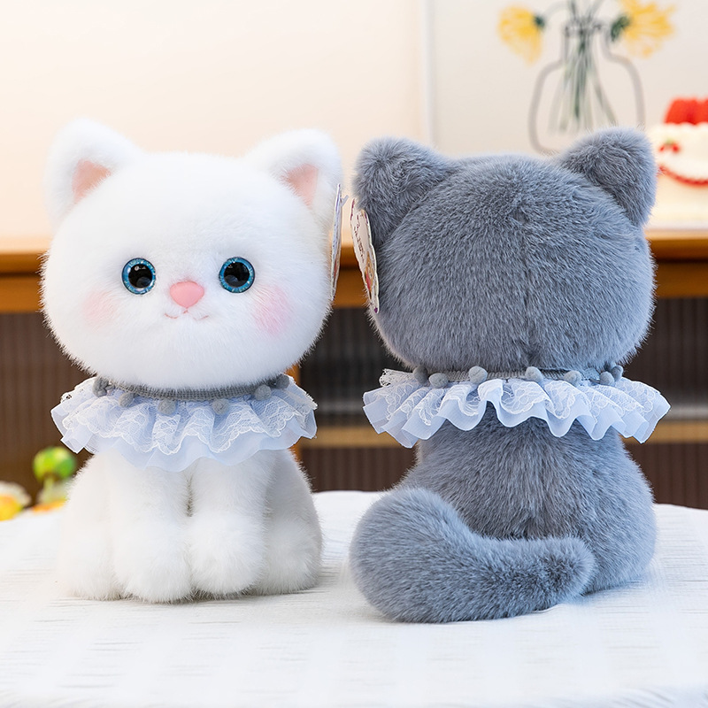 https://fulmo-img-server.com/nyankomo/db1afa97-8d1d-4420-8ed5-c9d5fdeac1ac.jpg