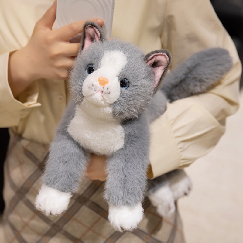 https://fulmo-img-server.com/nyankomo/dd48783c-0699-4424-a629-7e067430cd17.jpg
