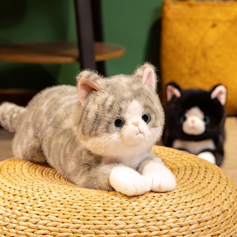 猫ぬいぐるみ おうち猫ちゃん 茶色三毛