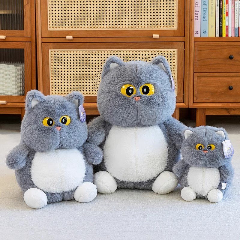 https://fulmo-img-server.com/nyankomo/e55e18cd-abcc-4a12-9e18-a76764eb3c62.jpg