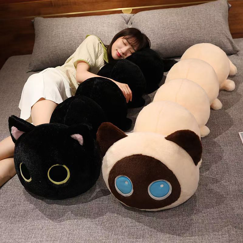 https://fulmo-img-server.com/nyankomo/ecfb5418-f2ae-49f9-a166-4165b529ca48.jpg
