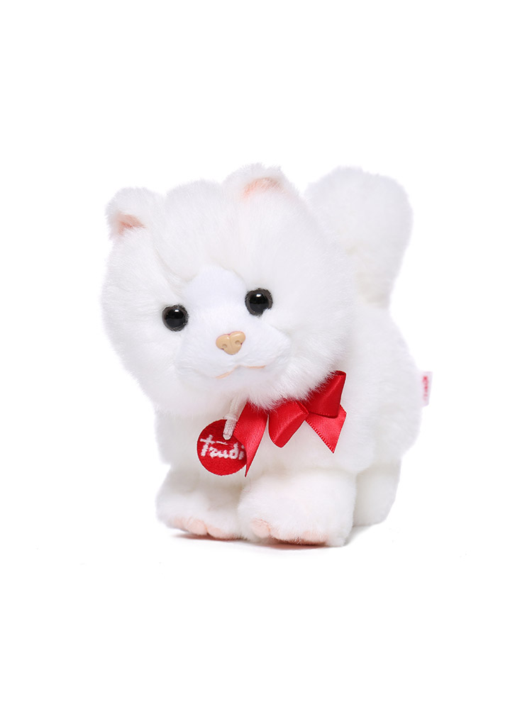 https://fulmo-img-server.com/nyankomo/ed875e6d-f5fe-448e-b1ee-8c43f96489bb.jpg