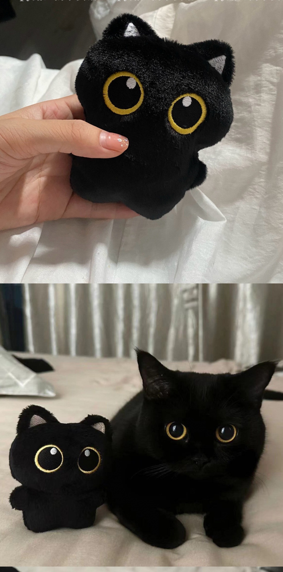 猫ぬいぐるみ まんまる瞳の夜見ねこ