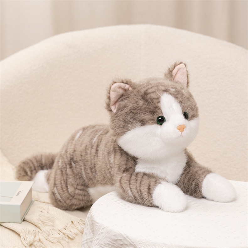 https://fulmo-img-server.com/nyankomo/f0156a5c-7d37-41dd-b7a8-8835c79b8e64.jpg