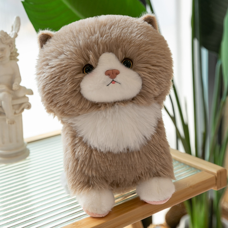 https://fulmo-img-server.com/nyankomo/f195b362-b1df-4d95-ab49-6a36f39f765b.jpg