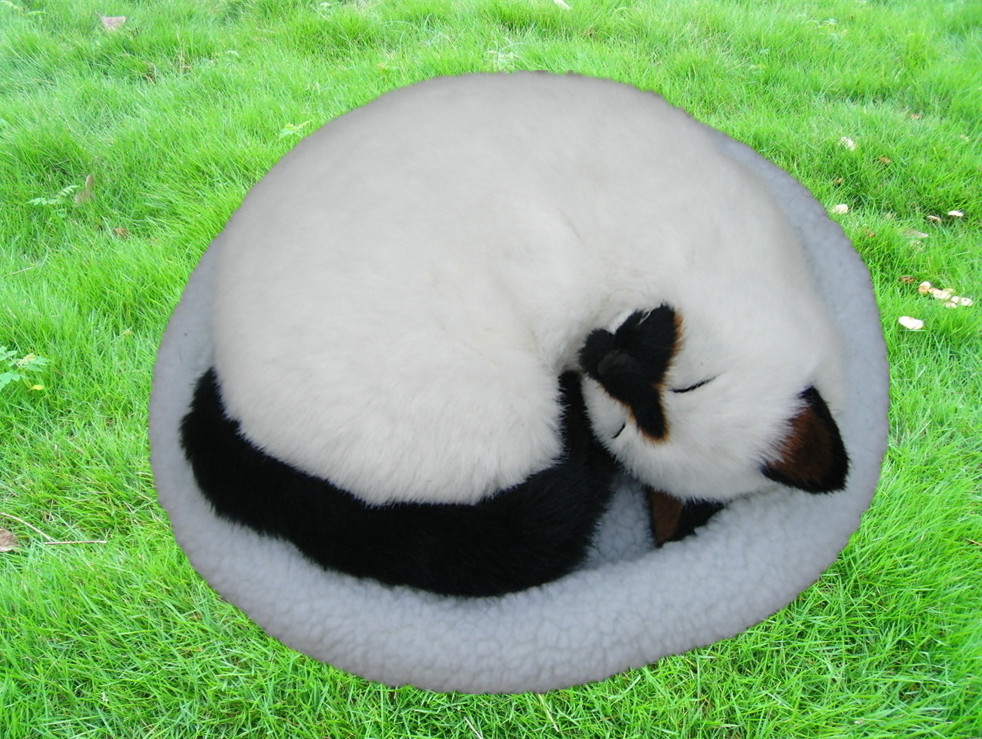 猫ぬいぐるみ まるくなって眠る子猫のぬいぐるみ丸型座布団付き