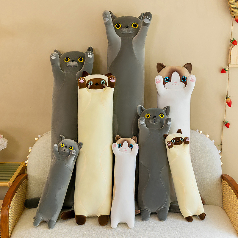 https://fulmo-img-server.com/nyankomo/f728e614-9166-4e36-b678-90f3ec81caf1.jpg