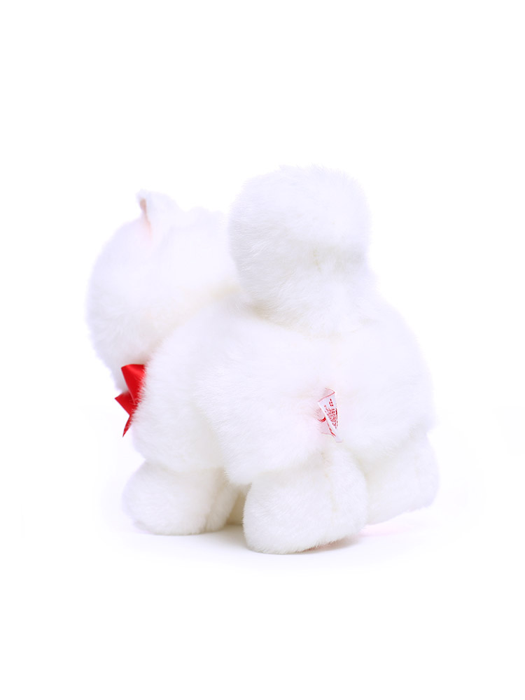 https://fulmo-img-server.com/nyankomo/fb86da07-7554-4e62-b3c1-b26247b74669.jpg