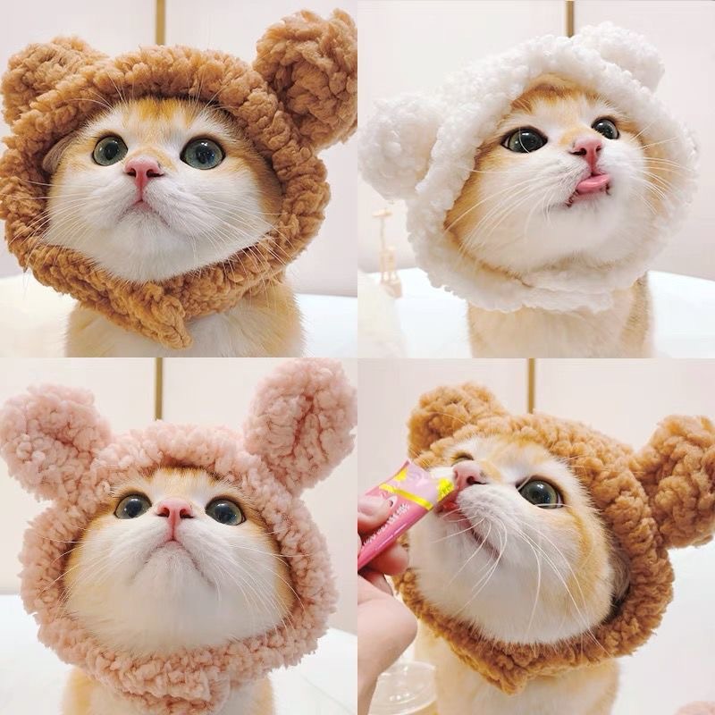 https://fulmo-img-server.com/nyankomo/fdee8a82-f263-4981-84ff-eefc008a7ff2.jpg