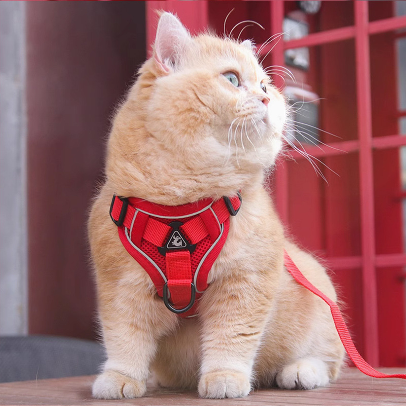 猫グッズ 猫用避難確保ハーネス